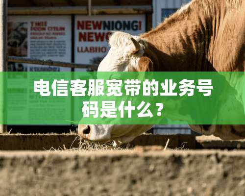 电信客服宽带的业务号码是什么？