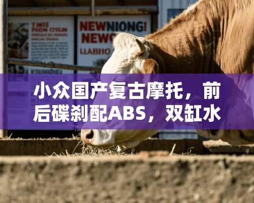 小众国产复古摩托，前后碟刹配ABS，双缸水冷发动机，38.4匹马力