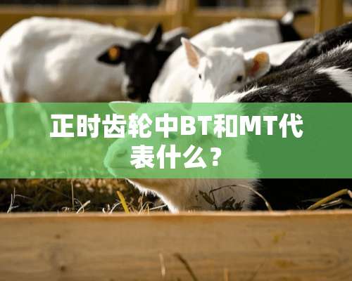 正时齿轮中BT和MT代表什么？