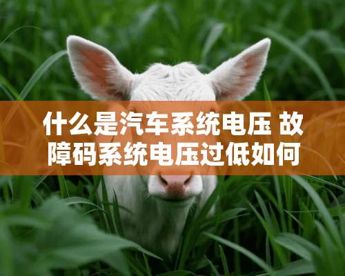 什么是汽车系统电压 故障码系统电压过低如何解决？