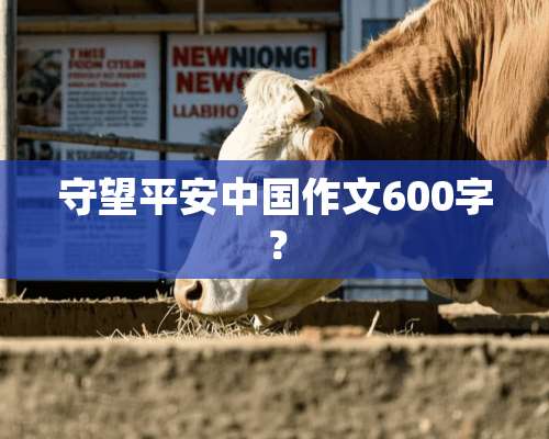 守望平安中国作文600字？