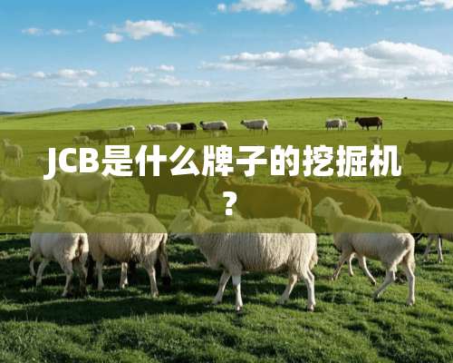 JCB是什么牌子的挖掘机？