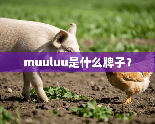 muuluu是什么牌子？