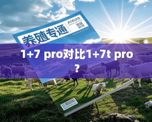 1+7 pro对比1+7t pro？