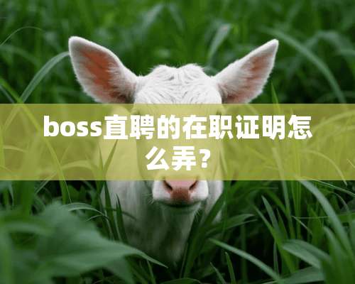 boss直聘的在职证明怎么弄？