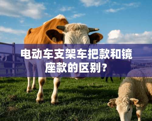 电动车支架车把款和镜座款的区别？