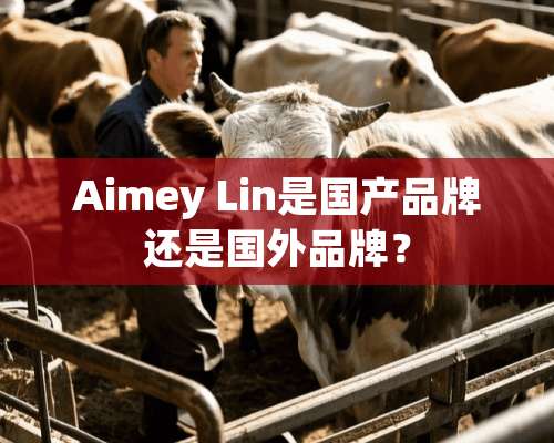 Aimey Lin是国产品牌还是国外品牌？