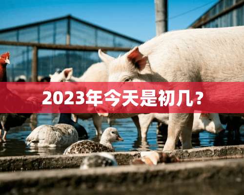 2023年今天是初几？