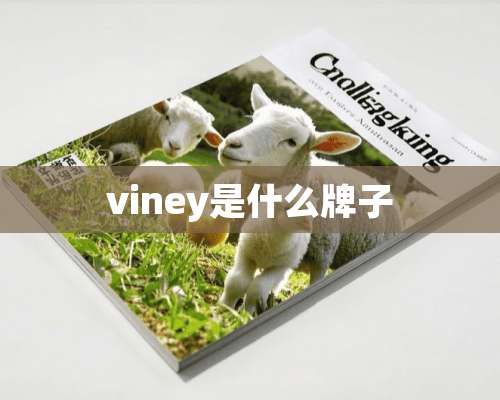 viney是什么牌子