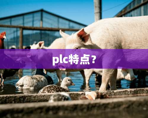 plc特点？