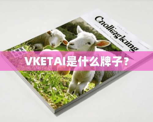 VKETAI是什么牌子？