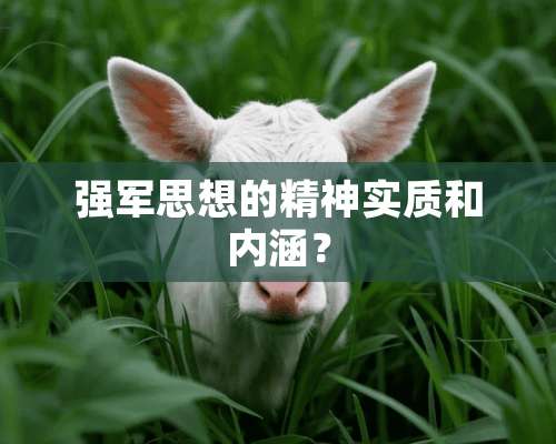 强军思想的精神实质和内涵？