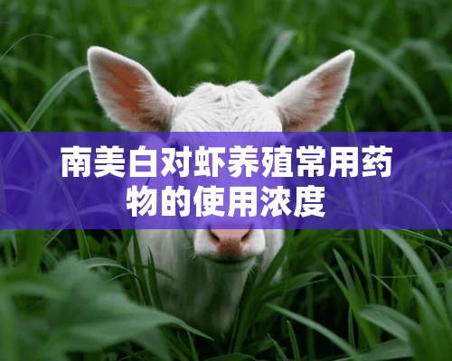 南美白对虾养殖常用药物的使用浓度