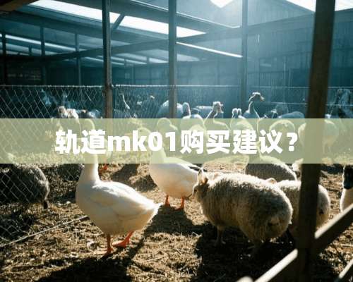 轨道mk01购买建议？