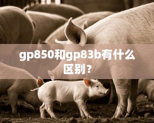 gp850和gp83b有什么区别？