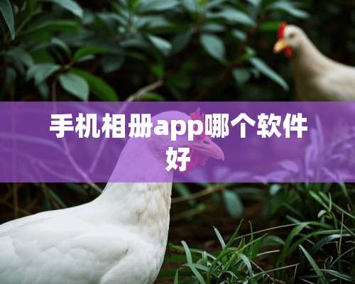 手机相册app哪个软件好