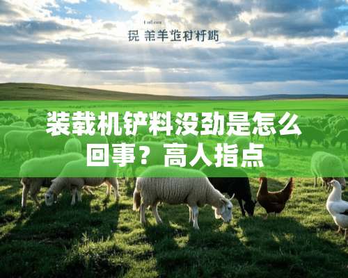 装载机铲料没劲是怎么回事？高人指点