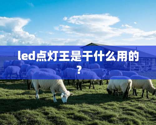 led点灯王是干什么用的？