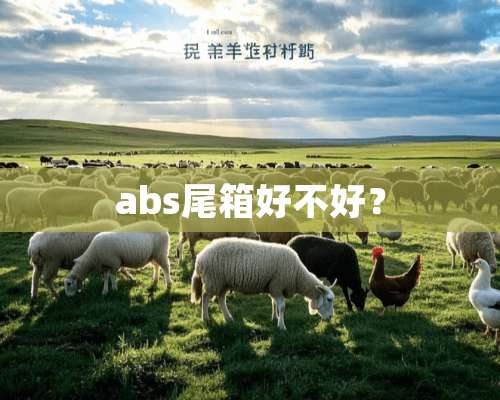 abs尾箱好不好？