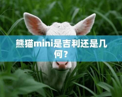 熊猫mini是吉利还是几何？