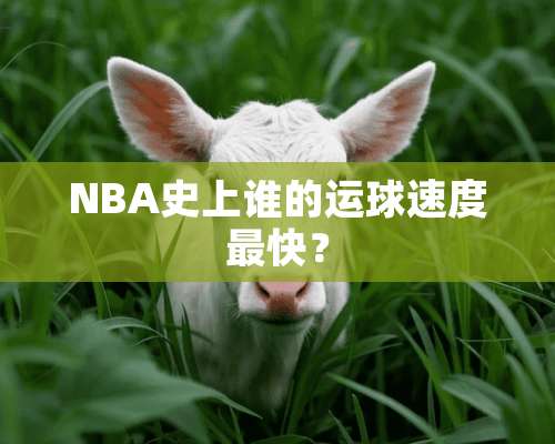 NBA史上谁的运球速度最快？