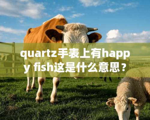 quartz手表上有happy fish这是什么意思？