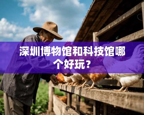 深圳博物馆和科技馆哪个好玩？