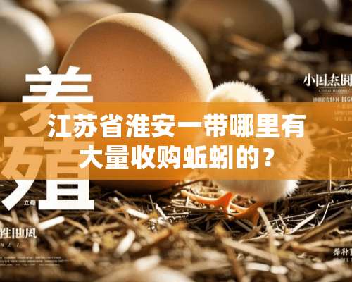 江苏省淮安一带哪里有大量收购蚯蚓的？