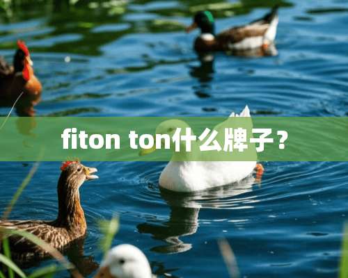 fiton ton什么牌子？