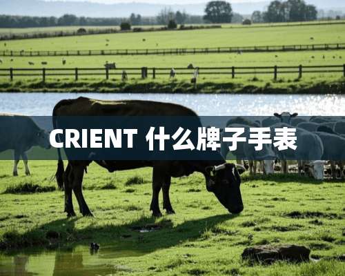 CRIENT 什么牌子手表