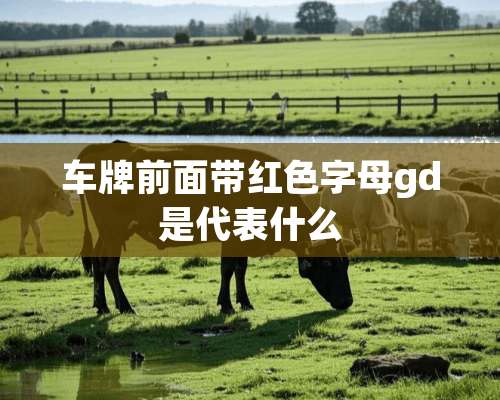 车牌前面带红色字母gd是代表什么