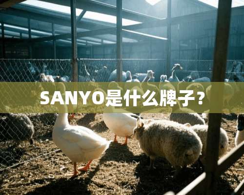 SANYO是什么牌子？