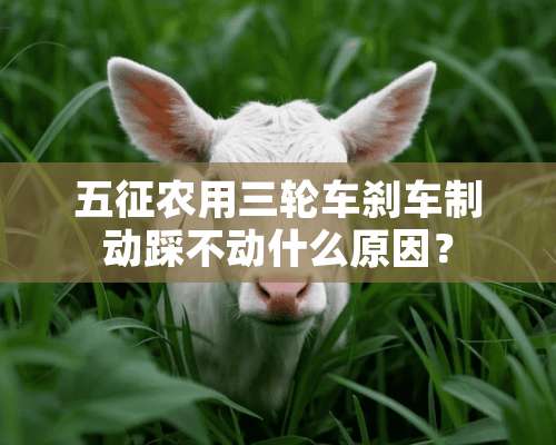 五征农用三轮车刹车制动踩不动什么原因？