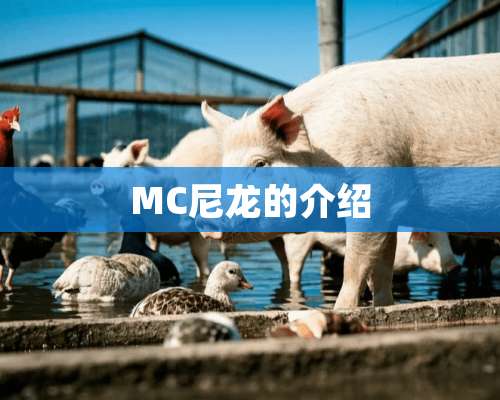 MC尼龙的介绍