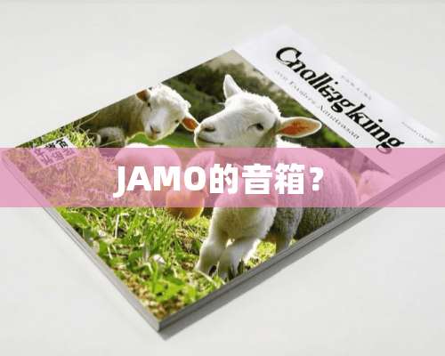 JAMO的音箱？