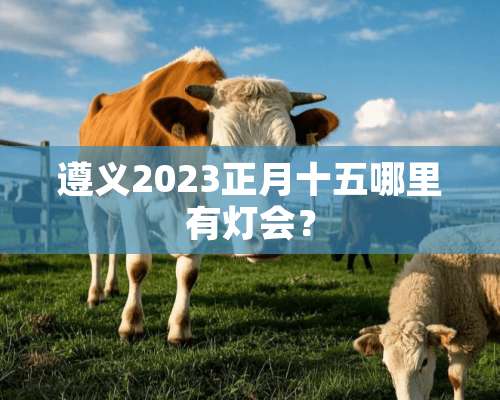 遵义2023正月十五哪里有灯会？