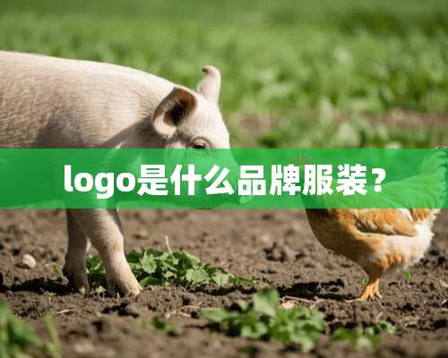 logo是什么品牌服装？