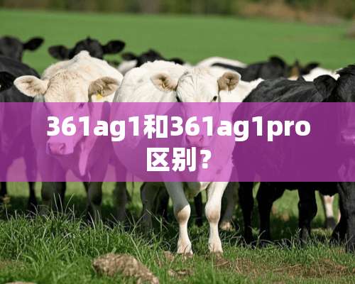 361ag1和361ag1pro区别？