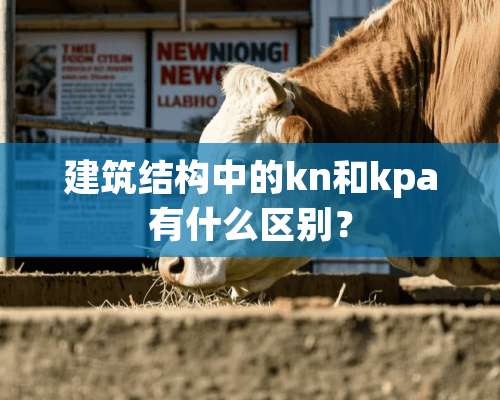 建筑结构中的kn和kpa有什么区别？