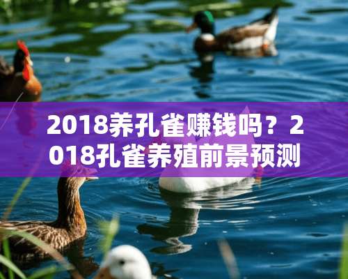 2018养孔雀赚钱吗？2018孔雀养殖前景预测