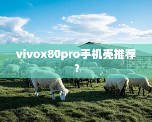 vivox80pro手机壳推荐？