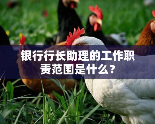 银行行长助理的工作职责范围是什么？