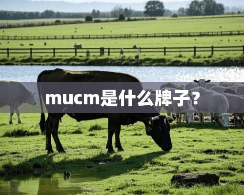 mucm是什么牌子？