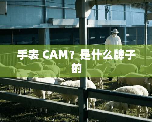 手表 CAM？是什么牌子的