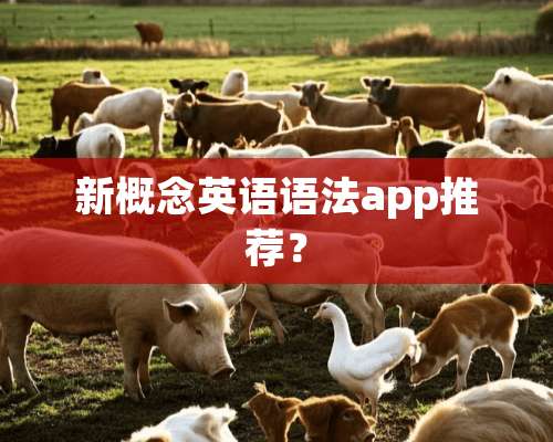 新概念英语语法app推荐？