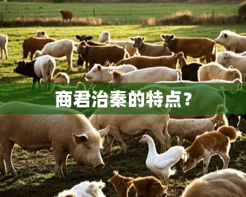 商君治秦的特点？