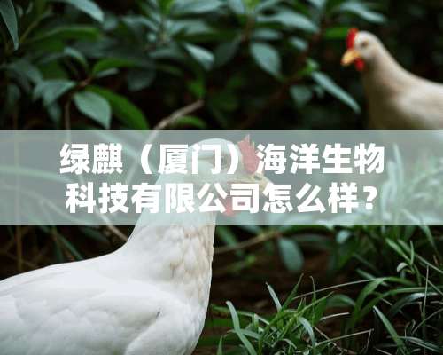 绿麒（厦门）海洋生物科技有限公司怎么样？