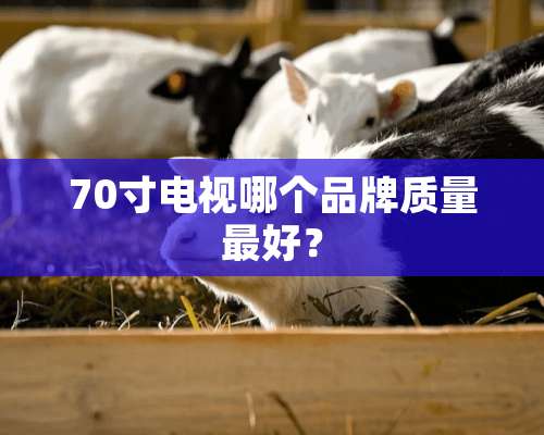 70寸电视哪个品牌质量最好？