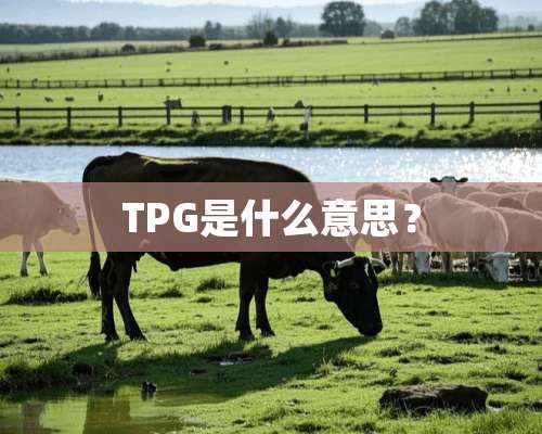 TPG是什么意思？