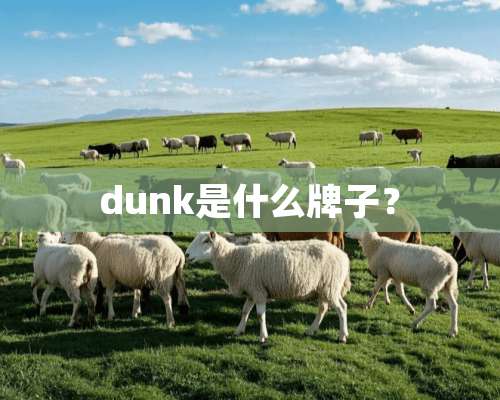 dunk是什么牌子？